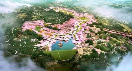 平潭櫻花谷效果圖